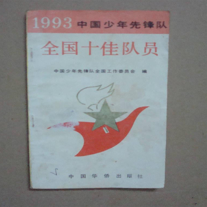 1993中國少年先鋒隊全國十佳隊員