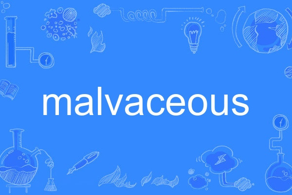 malvaceous malvaceous