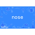 nose(英語單詞) nose(英語單詞)