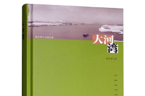 大河灣(2018年安徽文藝出版社出版的圖書) 大河灣(2018年安徽文藝出版社出版的圖書)