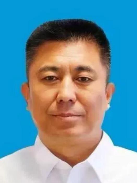 張海川(河北省廊坊市人民政府副市長) 張海川(河北省廊坊市人民政府副市長)