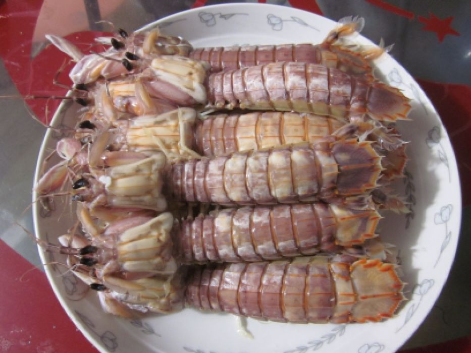 清水蝦姑 清水蝦姑