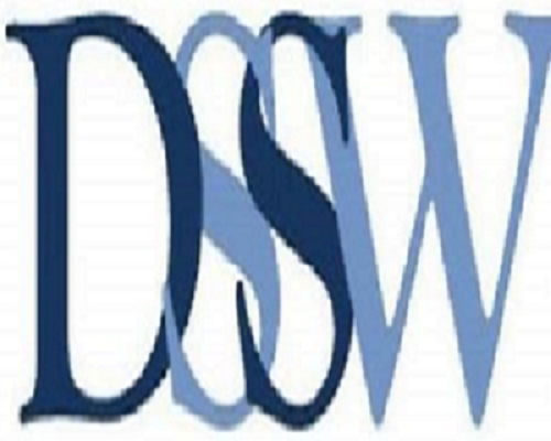 DSSW模型