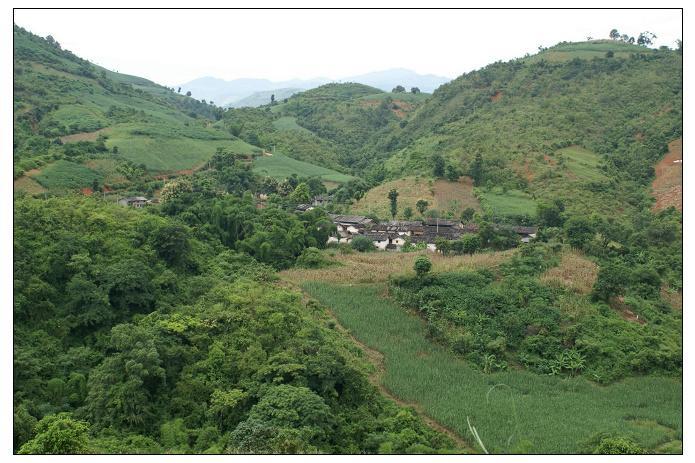 下蚌東村 下蚌東村