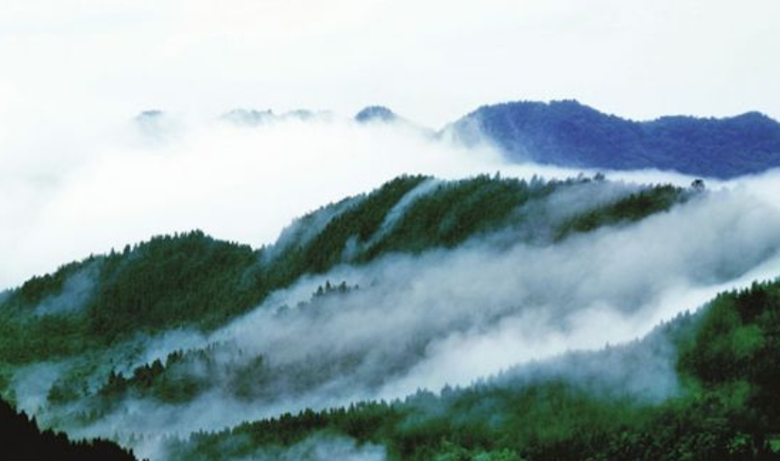 四川蓬安國家森林公園