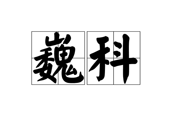 巍科 巍科