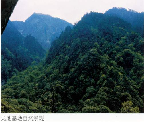 華西亞高山植物園