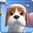 Talking Basset Talking Basset