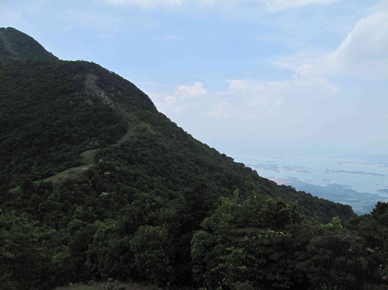 南山(河源市東源縣南山)