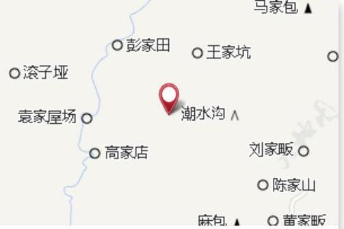 柳樹包子 柳樹包子