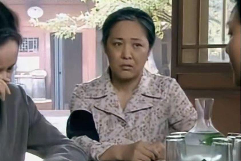 文惠(家庭倫理劇《金婚》中的角色) 文惠(家庭倫理劇《金婚》中的角色)