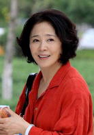 閃婚(2010年王小康執導電視劇)