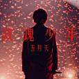 玫瑰少年(五月天演唱歌曲) 玫瑰少年(五月天演唱歌曲)
