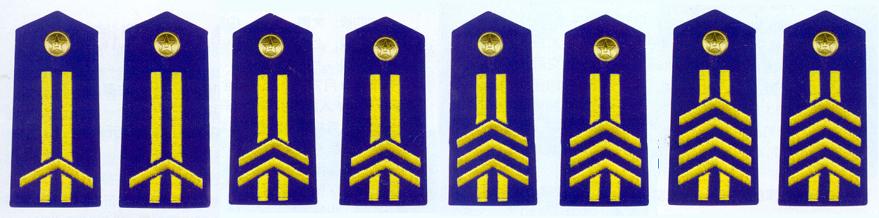 解放軍空軍軍士長肩章(1993-1999)