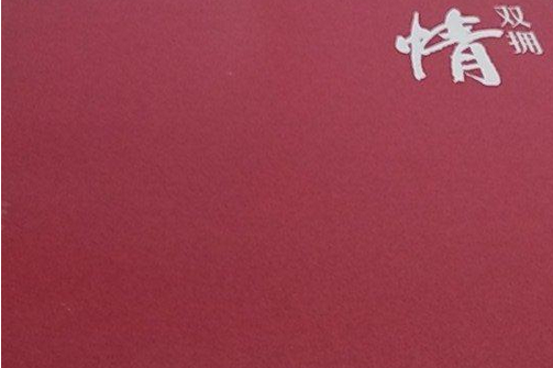 雙擁情(2007年廣西師範大學出版社出版的圖書) 雙擁情(2007年廣西師範大學出版社出版的圖書)
