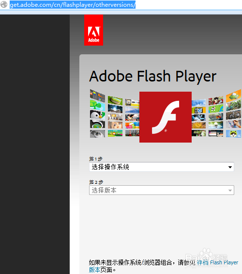 Adobe Flash Player(Flash Player)
