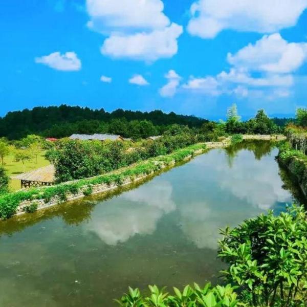 高碑田園 高碑田園