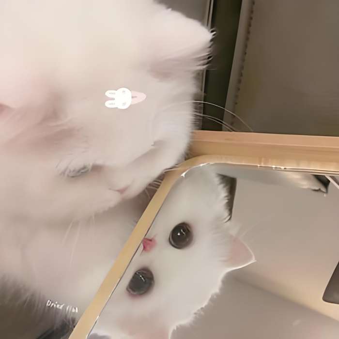 鹿鹿奶鹿