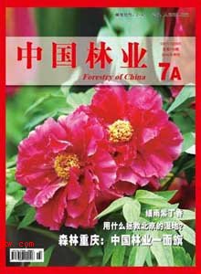 中國林業雜誌封面