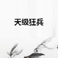 天級狂兵 天級狂兵