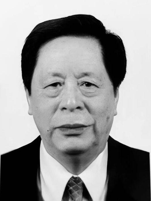 胡嘯(復旦大學哲學學院副教授) 胡嘯(復旦大學哲學學院副教授)