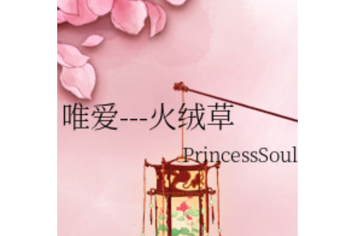 唯愛---火絨草 唯愛---火絨草