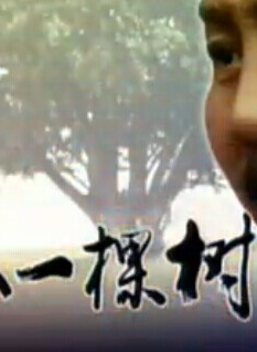 何泓姍 何泓姍