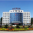 國有參股公司 國有參股公司
