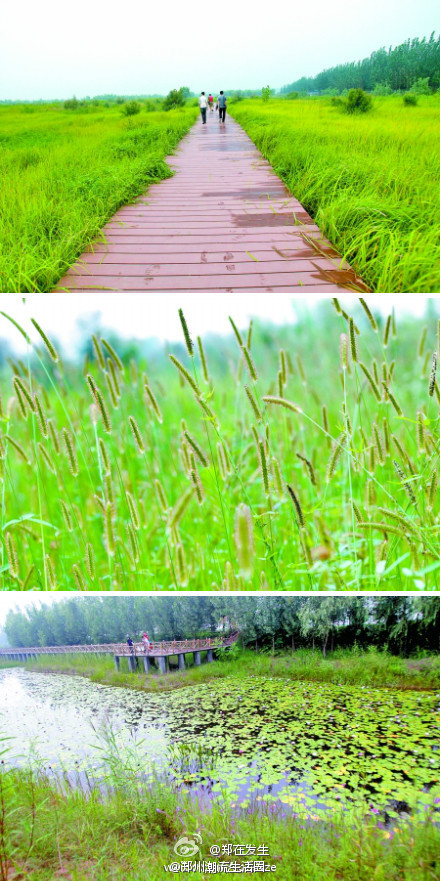 鄭州黃河國家濕地公園示範園