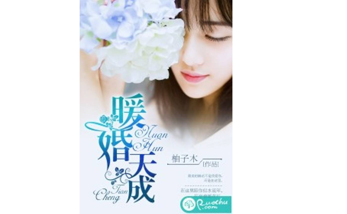暖婚天成 暖婚天成
