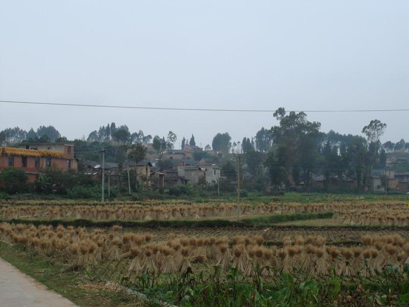 老長坡村 老長坡村