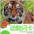 小笨熊典藏:動物閃卡(動物閃卡) 小笨熊典藏:動物閃卡(動物閃卡)