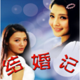 結婚記(國產電視劇) 結婚記(國產電視劇)