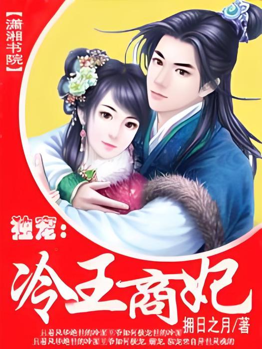 冷王商妃 冷王商妃