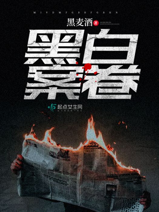 黑白案卷 黑白案卷