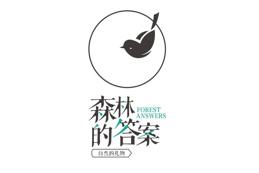 森林的答案 森林的答案