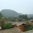 科麻村 科麻村