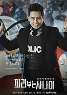 吹笛人(2016年韓國tvN電視台月火劇)