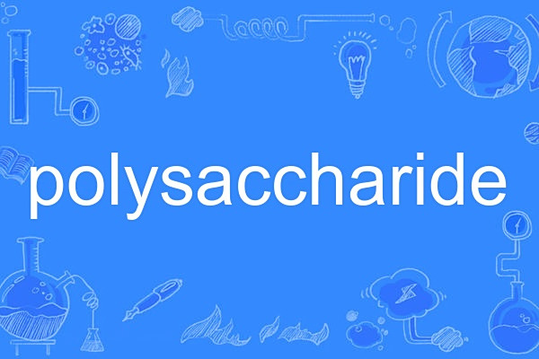 polysaccharide polysaccharide