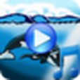 Whales songs to sleep