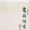 書林拾葉 書林拾葉