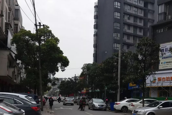 北湖小路 北湖小路