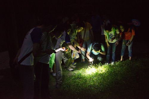 2014年上海植物園“暗訪夜精靈”活動
