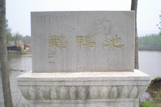 鵝鴨池 鵝鴨池