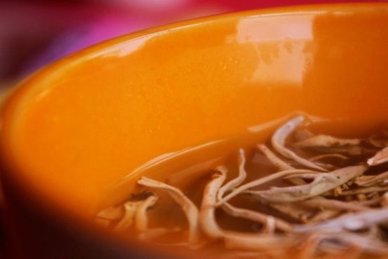 伊貝樹皮茶 伊貝樹皮茶