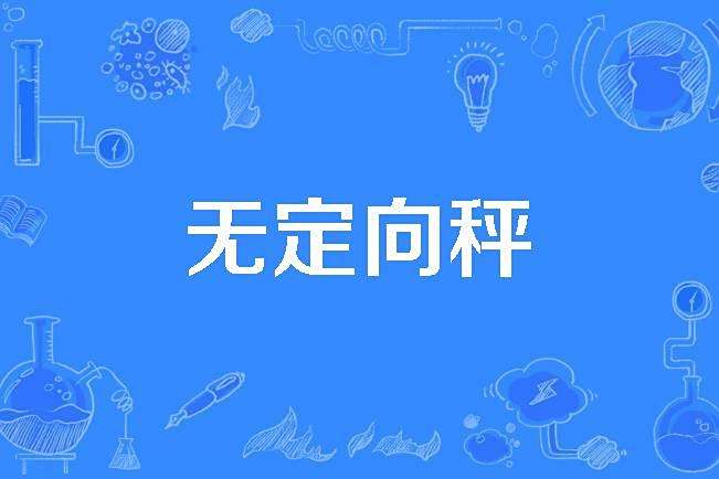 無定向秤 無定向秤