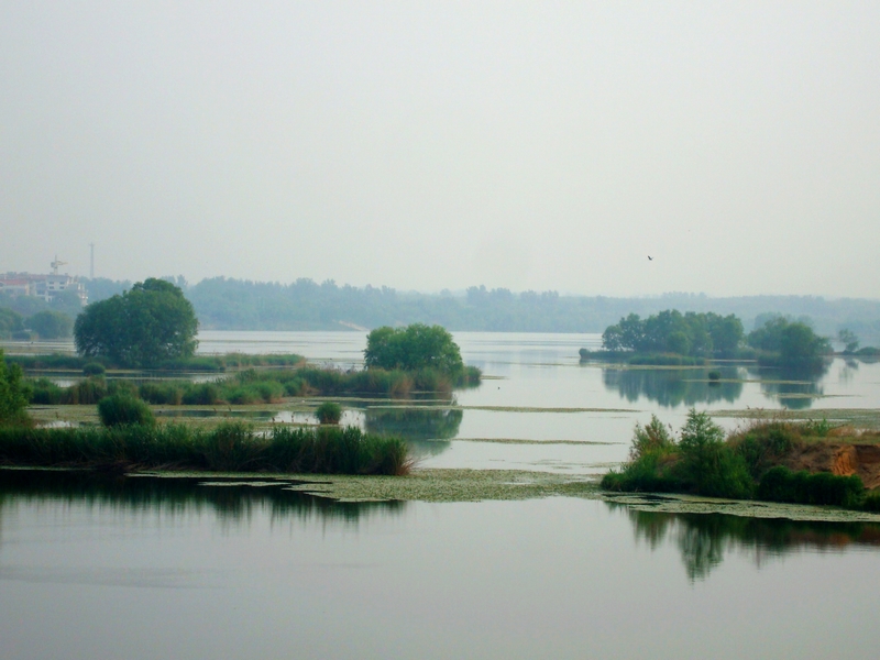 大汶河生態濕地公園開發區