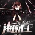 海賊王Shelter 海賊王Shelter