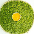 桂綠豆L74號 桂綠豆L74號