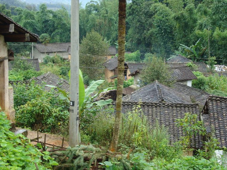 河心場村 河心場村